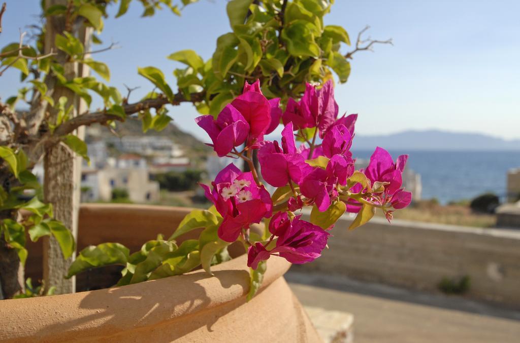 Agia Pelagia  Pantonia Apartments חדר תמונה