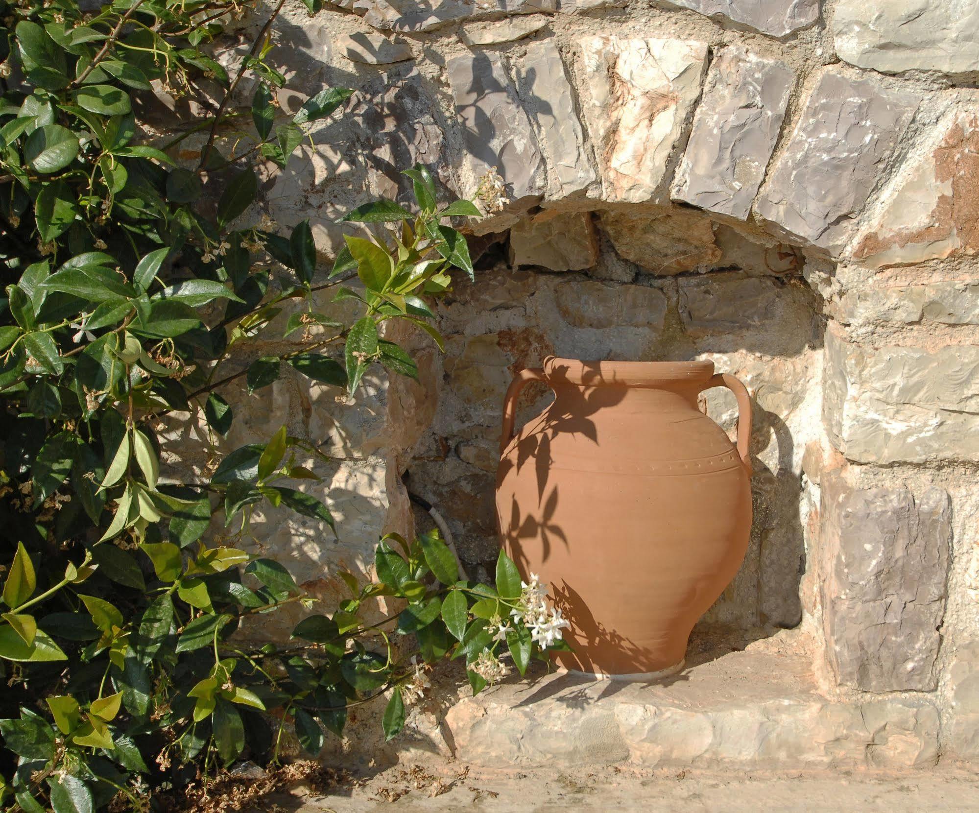 Agia Pelagia  Pantonia Apartments מראה חיצוני תמונה